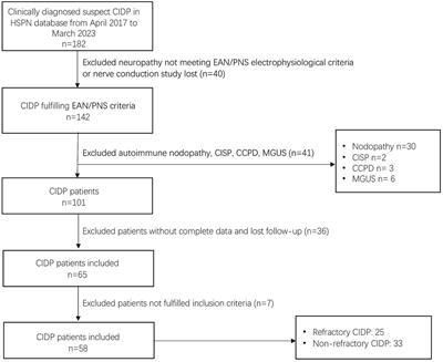 Insights into refractory chronic inflammatory demyelinating polyneuropathy: a comprehensive real-world study